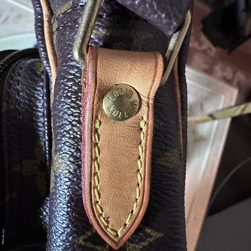 Louis Vuitton Monogram Amazone‎ Crossbody Bag - Picture 11 of 15